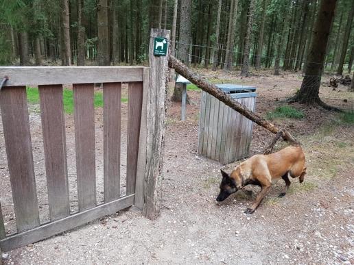 Der Eingang zum Hundewald